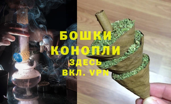 ГАЛЛЮЦИНОГЕННЫЕ ГРИБЫ Богданович