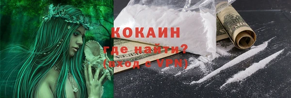 ГАЛЛЮЦИНОГЕННЫЕ ГРИБЫ Богданович