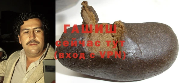 ГАЛЛЮЦИНОГЕННЫЕ ГРИБЫ Богданович